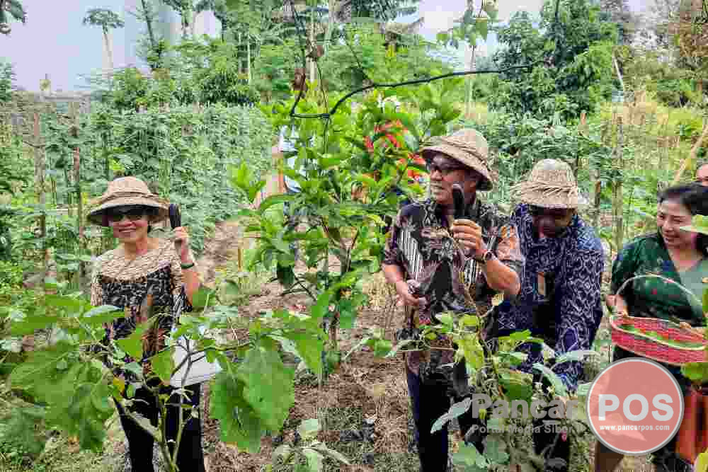 Made Urip Bali Panen